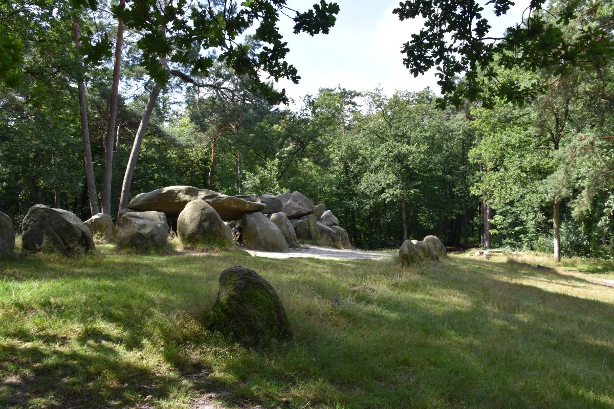 Hunebed D45, Hunebedden